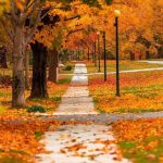دانلود آهنگ هوژین زدم زیرش تو خیابون زدم زیرش